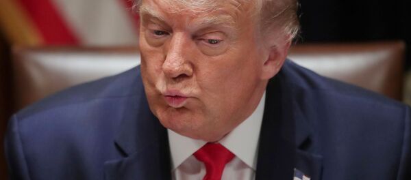 Президент США Дональд Трамп во время встрчеи в Вашингтоне - 俄羅斯衛星通訊社