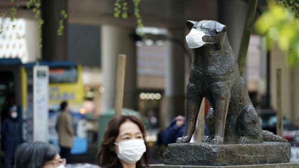 Статуя псу породы акита по имени Хатико, в надетой маске, в Токио - 俄羅斯衛星通訊社