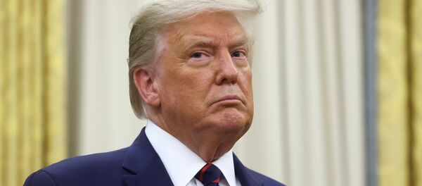 Президент США Дональд Трамп в Белом доме - 俄罗斯卫星通讯社