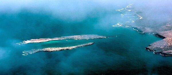 Галапагосские острова - 俄羅斯衛星通訊社