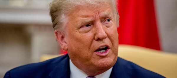 Президент США Дональд Трамп - 俄罗斯卫星通讯社