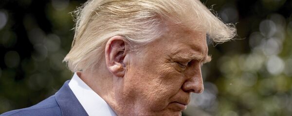 Donald Trump - 俄羅斯衛星通訊社