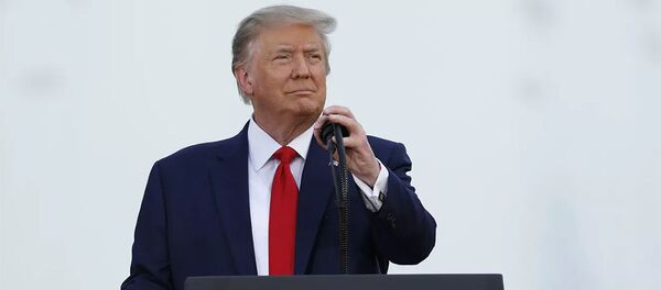 特朗普打臉民進黨人士：沒有“訪台”規劃 - 俄羅斯衛星通訊社