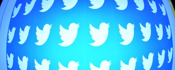 Логотип социальной сети Twitter на экране смартфона.  - 俄羅斯衛星通訊社