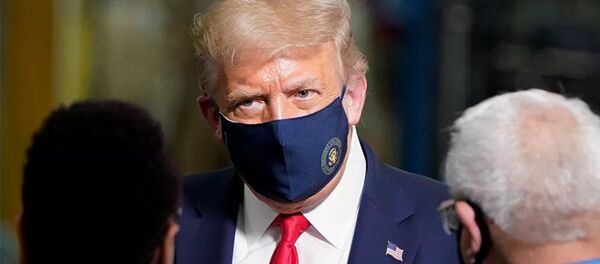 Президент США Дональд Трамп Президент США Дональд Трамп - 俄罗斯卫星通讯社