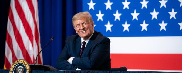 Президент США Дональд Трамп Президент США Дональд Трамп - 俄罗斯卫星通讯社