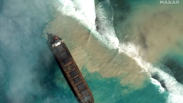 Вид на сухогруз MV Wakashio и разлившуюся нефть у Маврикия  - 俄羅斯衛星通訊社