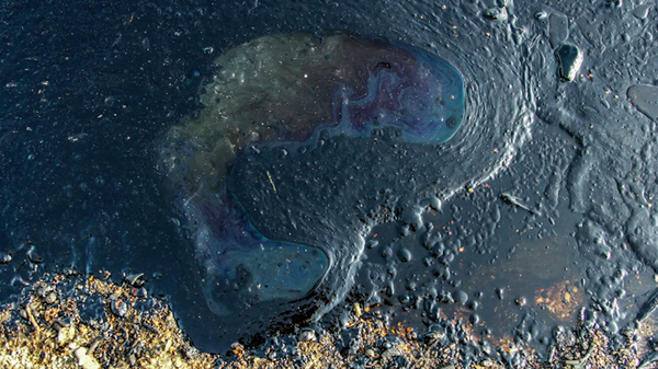 俄罗斯学者制造污水中的石油产品吸附剂  - 俄罗斯卫星通讯社