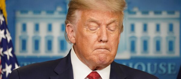 Президент США Дональд Трамп на пресс-конференции в Белом доме - 俄罗斯卫星通讯社