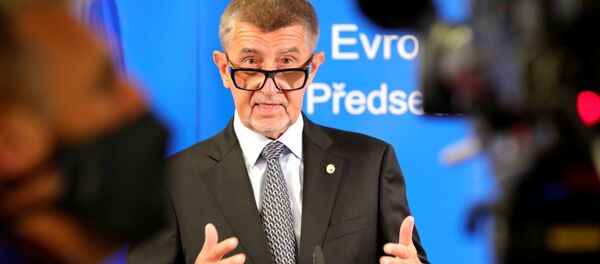 捷克总理：白俄罗斯需要重新举行总统选举 - 俄罗斯卫星通讯社