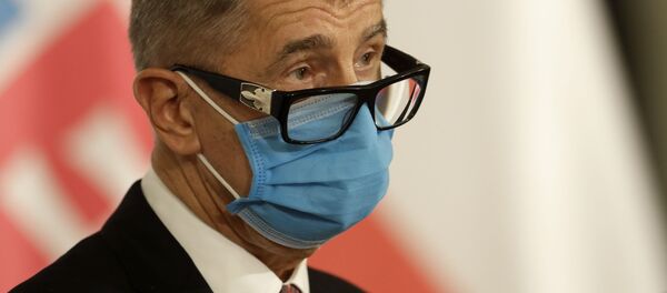 捷克总理安德烈·巴比什 - 俄罗斯卫星通讯社