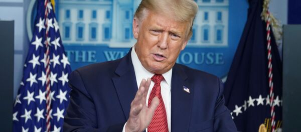 特朗普称拜登当选将在美国“激发革命” - 俄罗斯卫星通讯社