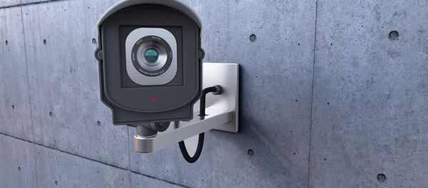 Камера на стене - 俄罗斯卫星通讯社