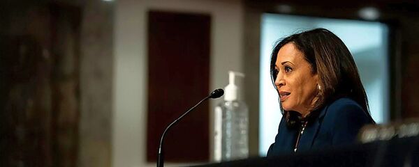 Камала Харрис - 俄罗斯卫星通讯社