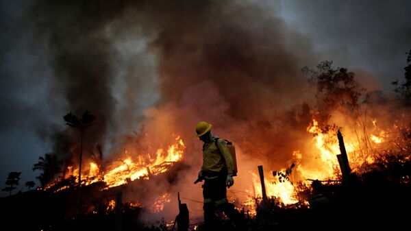 Бразильский пожарный во время работы в лесу Апуи - 俄羅斯衛星通訊社