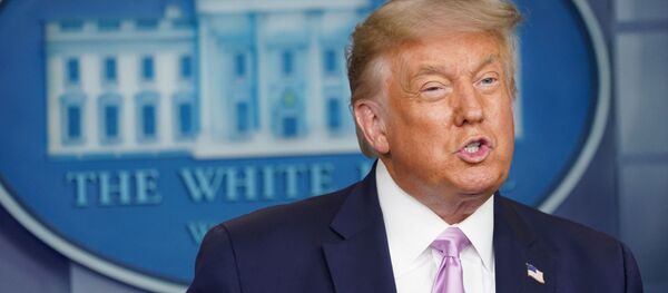 美国总统特朗普 美国总统特朗普 - 俄罗斯卫星通讯社