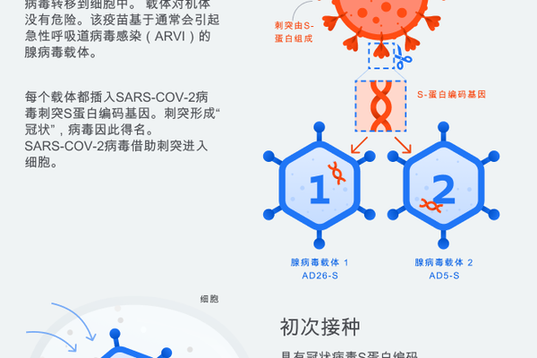 双载体冠状病毒疫苗 双载体冠状病毒疫苗 - 俄罗斯卫星通讯社