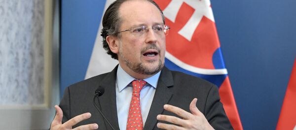 Глава МИД Австрии Александер Шалленберг - 俄罗斯卫星通讯社