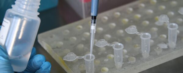 Сотрудница Центра гигиены и эпидемиологии в Забайкальском крае за работой.  - 俄羅斯衛星通訊社