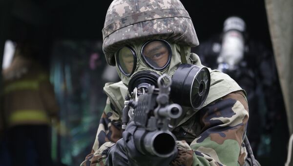 Военнослужащий Южной Кореи во время военных учений - 俄罗斯卫星通讯社