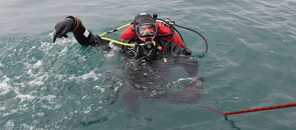 Водолаз МЧС во время поисково-спасательной операции на месте крушения самолета Ту-154 в Черном море у берегов Сочи - 俄罗斯卫星通讯社
