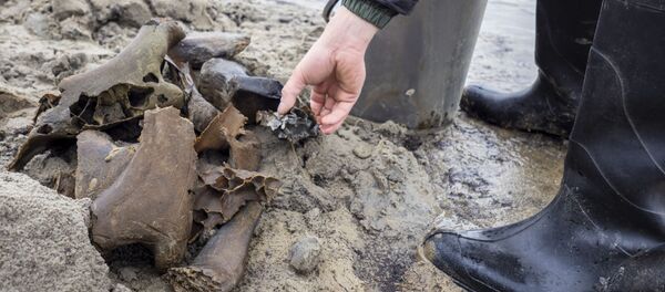 Фрагменты костей взрослого мамонта времен палеолита, обнаруженные в ходе археологических раскопок на территории Ямало-Ненецкого округа Фрагменты костей взрослого мамонта времен палеолита, обнаруженные в ходе археологических раскопок на территории Ямало-Ненецкого округа - 俄罗斯卫星通讯社