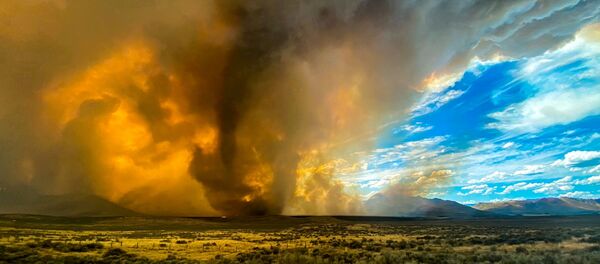 Огненный торнадо в дыме от лесных пожаров в Калифорнии - 俄罗斯卫星通讯社