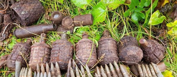 Находки поисковиков - 俄罗斯卫星通讯社