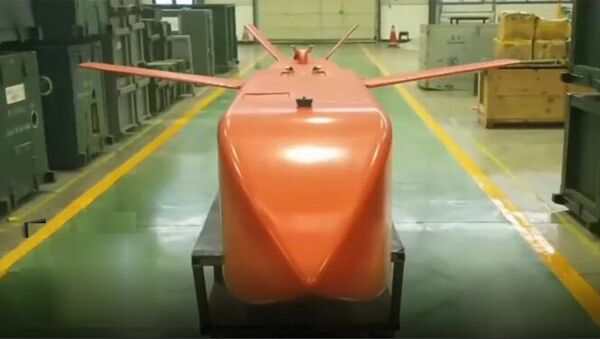 中国“天雷-500”集束炸弹：高科技战争的武器 - 俄罗斯卫星通讯社