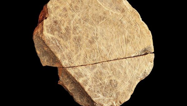 Каменные фрагменты, которые могут быть самыми ранними произведениями искусства на Британских островах - 俄罗斯卫星通讯社