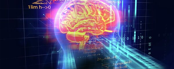 醫生介紹哪些食物最易傷害大腦 - 俄羅斯衛星通訊社