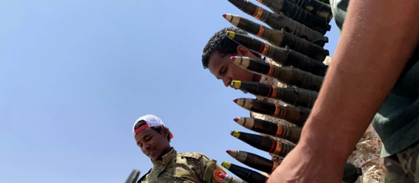 利比亚民族团结政府发表声明，宣布立即停火并暂停所有行动 - 俄罗斯卫星通讯社