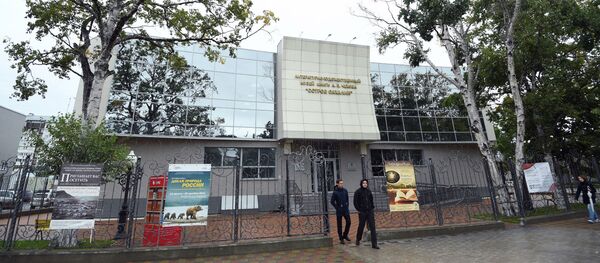 俄罗斯萨哈林国际电影节将放映中国导演的作品 - 俄罗斯卫星通讯社