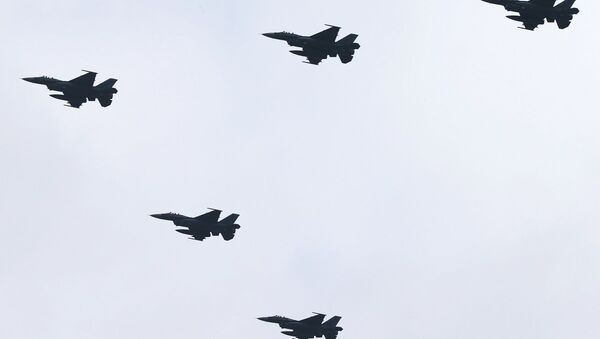 Japan's F-2 fighter jets - 俄罗斯卫星通讯社