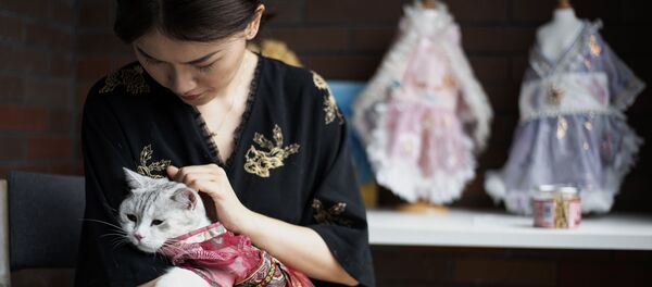 Китаянка Wu Qiuqiao с своей наряженной кошкой Liu Li в провинции Хунань - 俄罗斯卫星通讯社