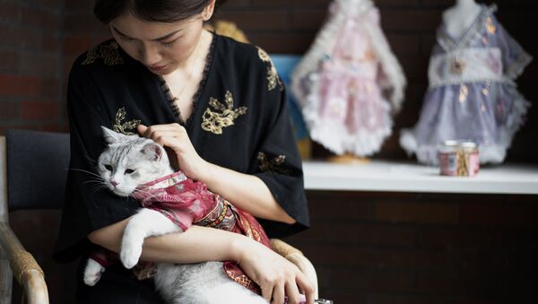Китаянка Wu Qiuqiao с своей наряженной кошкой Liu Li в провинции Хунань - 俄罗斯卫星通讯社