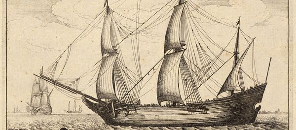 Флейт - 俄羅斯衛星通訊社