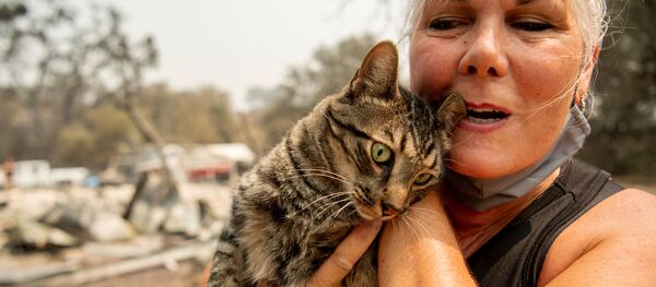 一片焦土：加州火灾后的惨状 - 俄罗斯卫星通讯社