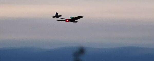 Беспилотный летательный аппарат - 俄羅斯衛星通訊社