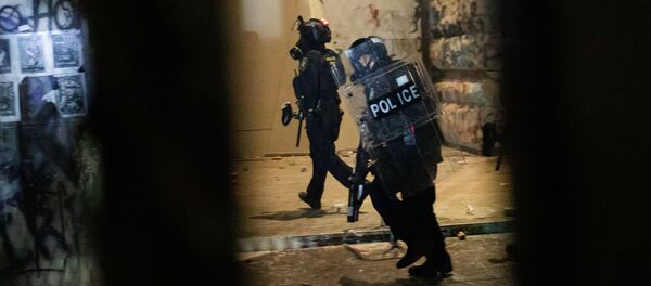 Сотрудники полиции у здания федерального суда в Портленде во время протестов - 俄罗斯卫星通讯社