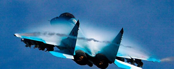 Истребитель МиГ-29 выполняет демонстрационный полет в рамках Международного форума Армия-2020 на аэродроме Кубинка в Подмосковье - 俄罗斯卫星通讯社