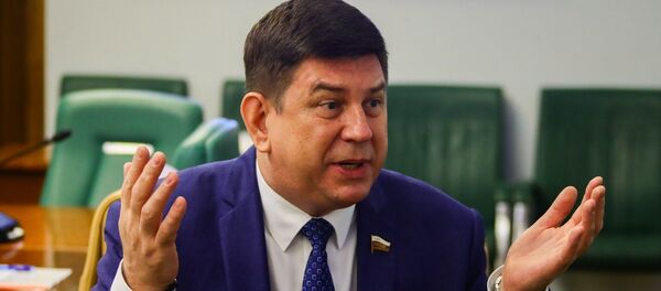 Заместитель председателя Комитета Совета Федерации по науке, образованию и культуре. Смирнов Виктор  - 俄罗斯卫星通讯社