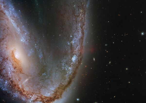 Искаженная галактика галактика NGC 2442 в созвездии Летучая Рыба - 俄罗斯卫星通讯社