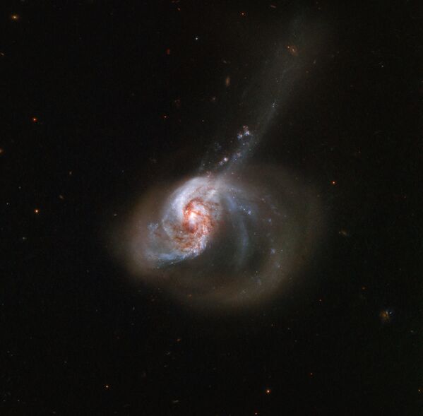 Галактика NGC 1614, находящаяся в 200 миллионах световых лет от Земли - 俄罗斯卫星通讯社