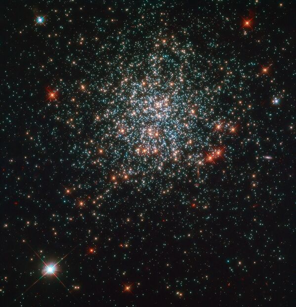 Звездное скопление NGC 2203, снятое космическим телескопом Hubble - 俄罗斯卫星通讯社