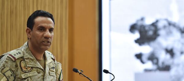 沙特阿拉伯领导的多国联军发言人马利基 - 俄罗斯卫星通讯社