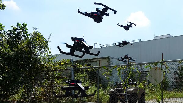 Pegasus迷你無人機 - 俄羅斯衛星通訊社