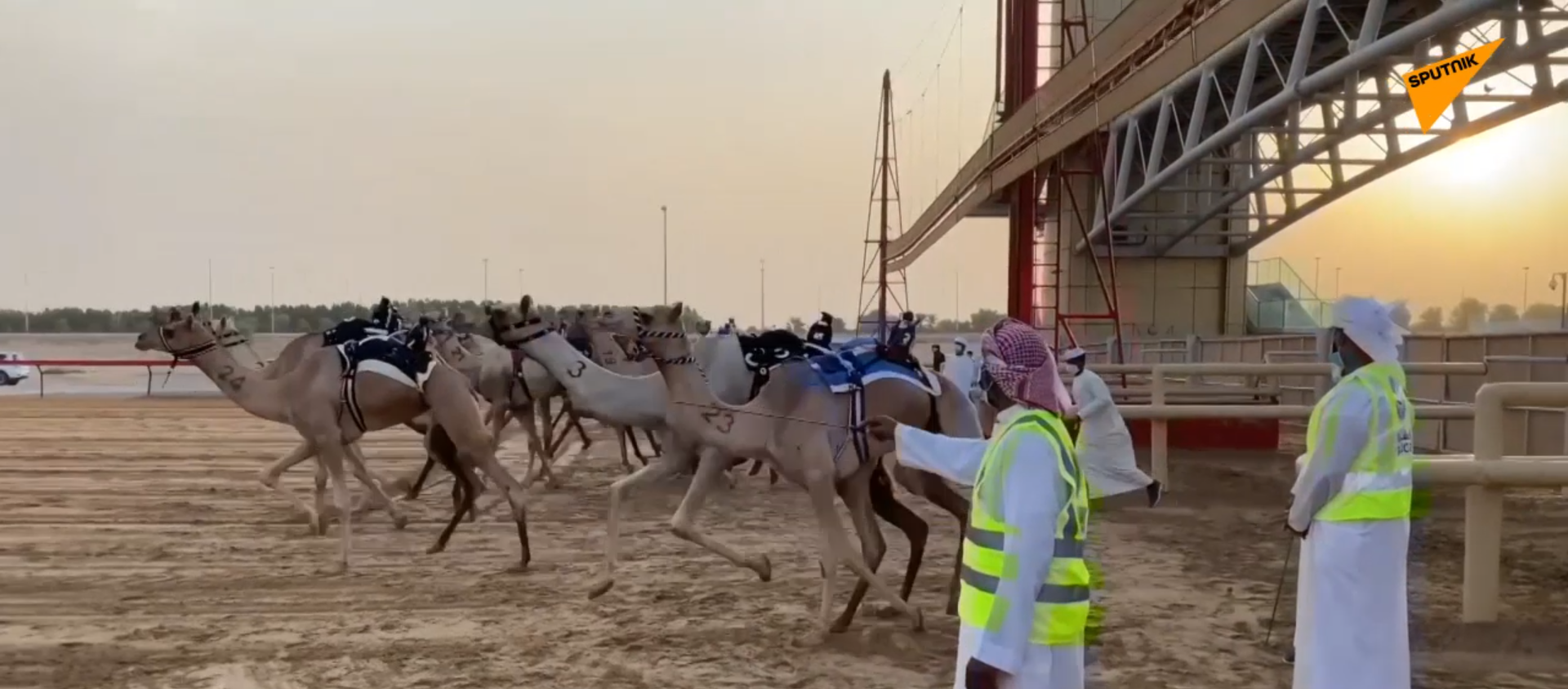 迪拜恢复骆驼比赛 - 俄罗斯卫星通讯社, 1920, 01.09.2020