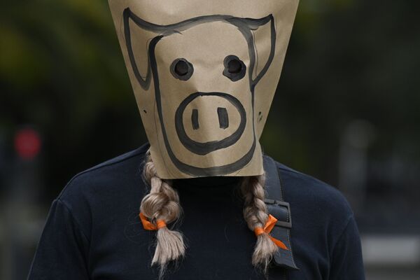 Мужчина в маске из бумажного пакета принимает участие в акции протеста против соглашения между Аргентиной и Китаем о производстве свиней на экспорт, Буэнос-Айрес - 俄羅斯衛星通訊社