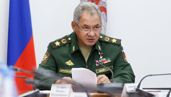 俄越兩國國防部長簽署軍事技術合作的協議 - 俄羅斯衛星通訊社